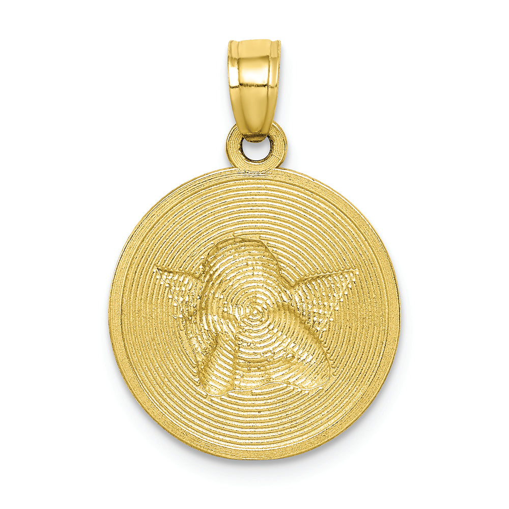 FJC Finejewelers 10k Yellow Gold with with Rhodium Polished Textured Angel Charm