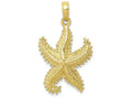 FJC Finejewelers 10k Yellow Gold Polished Open-backed Starfish Charm
