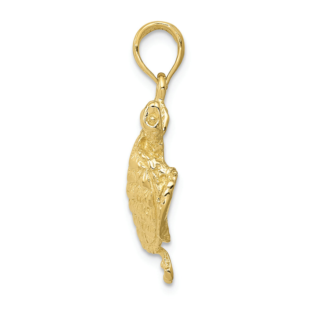 FJC Finejewelers 10k Yellow Gold Solid Polished Open-backed Turtle Charm
