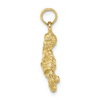 FJC Finejewelers 10k Yellow Gold 3D Aquarius Zodiac Charm
