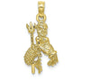 FJC Finejewelers 10k Yellow Gold 3D Aquarius Zodiac Charm