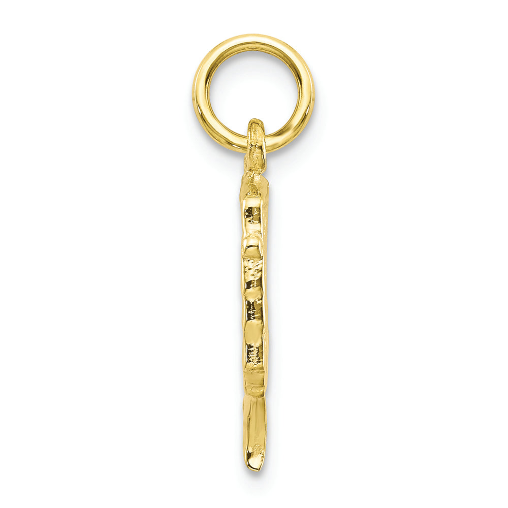 FJC Finejewelers 10k Yellow Gold Solid Bust Of Nefertiti Charm