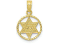FJC Finejewelers 10k Yellow Gold Star Of David In Circle Frame Charm