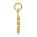 FJC Finejewelers 10k Yellow Gold Anchor Charm