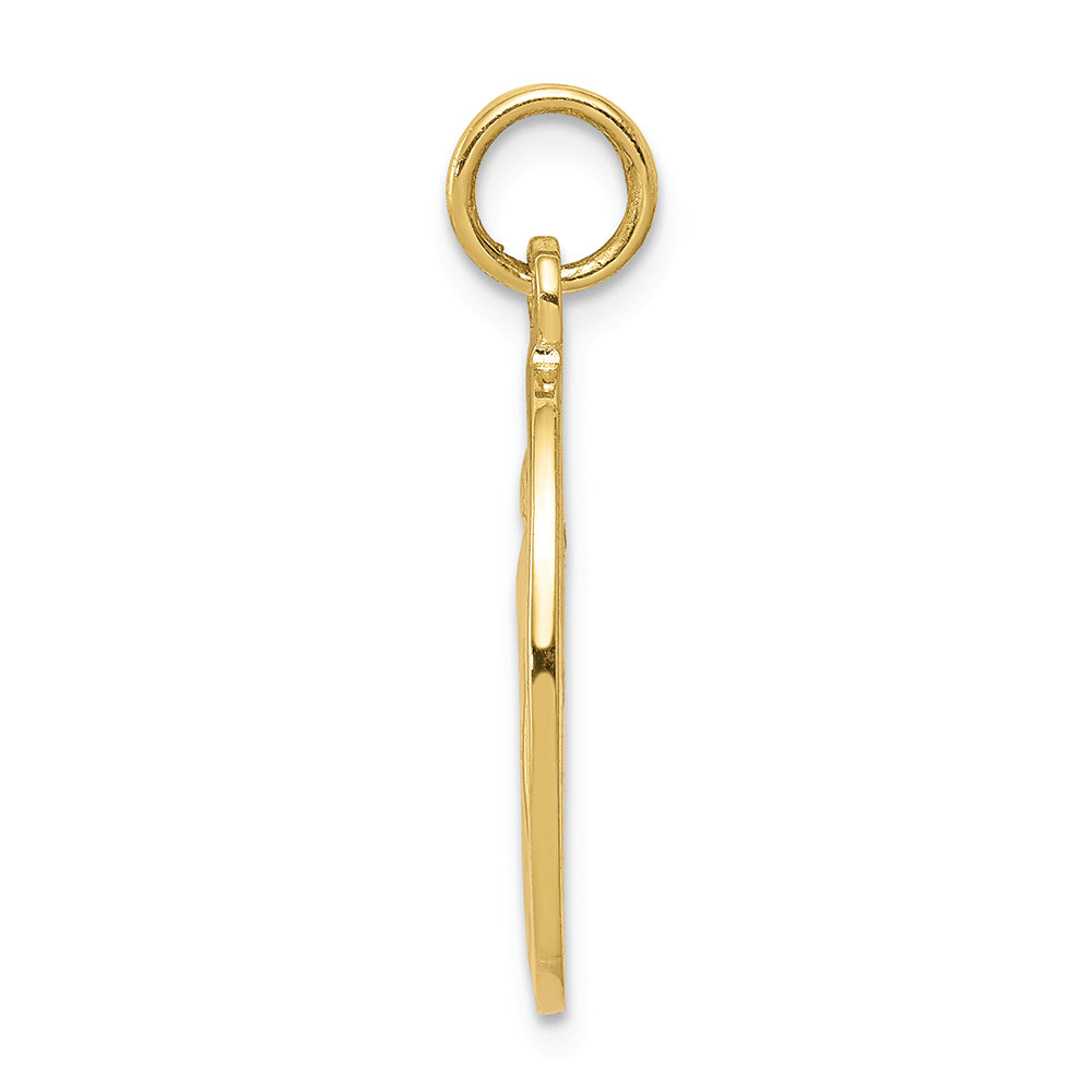 FJC Finejewelers 10k Yellow Gold Miraculous Medal Charm