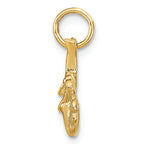 FJC Finejewelers 10k Yellow Gold Solid Horseshoe Wishbone Shamrock Charm