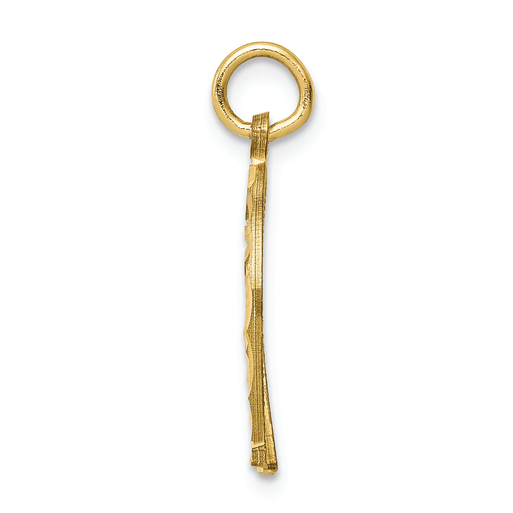 FJC Finejewelers 10k Yellow Gold Horseshoe Charm