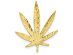 FJC Finejewelers 10k Yellow Gold Solid Satin Leaf Charm