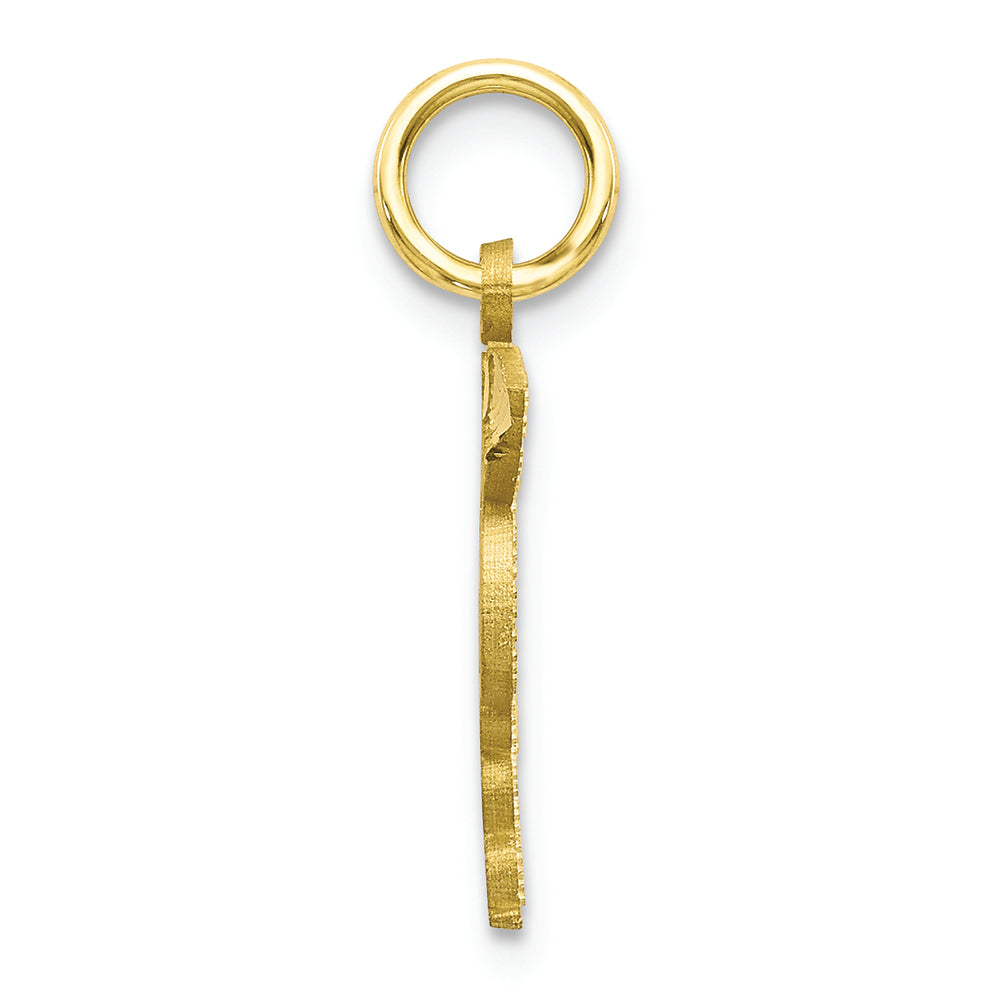 FJC Finejewelers 10k Yellow Gold Solid Doctor Of Medicine Md Charm