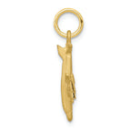 FJC Finejewelers 10k Yellow Gold Solid Satin Airplane Charm