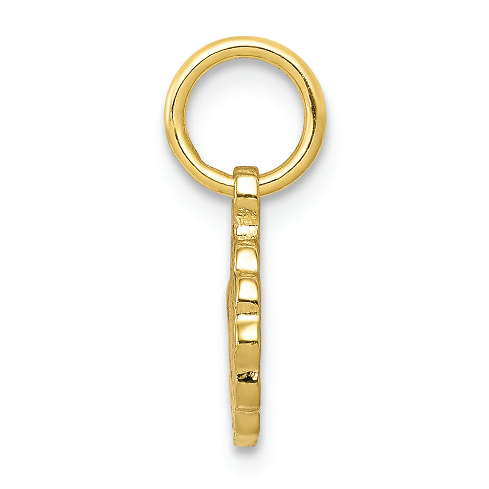 FJC Finejewelers 10k Yellow Gold Solid Satin Polished Our Lady Of Sorrows Disc Charm