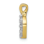 FJC Finejewelers 10k Yellow Gold Small CZ Horseshoe Charm