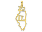 FJC Finejewelers 10k Yellow Gold Solid Illinois State Charm