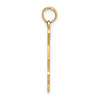 FJC Finejewelers 10k Yellow Gold Solid South Carolina State Charm