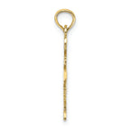 FJC Finejewelers 10k Yellow Gold Solid Texas State Charm