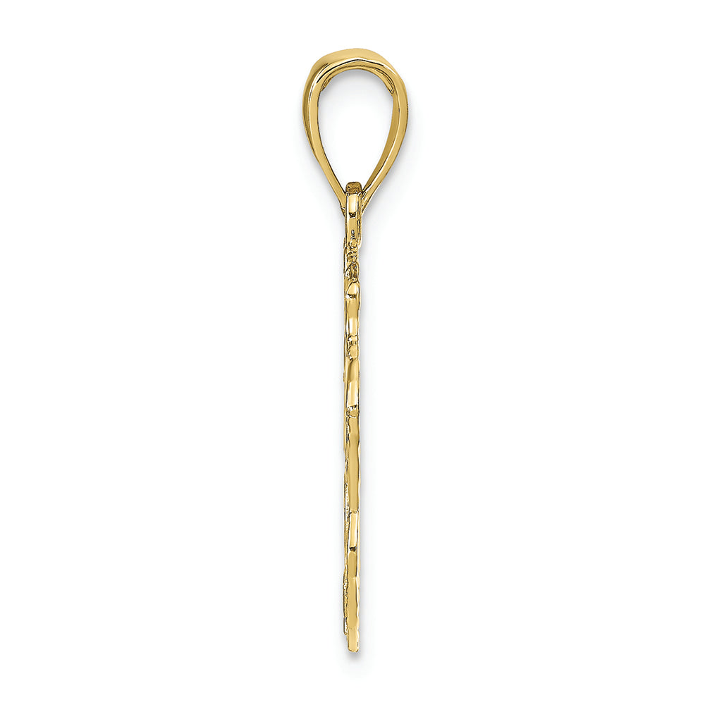 FJC Finejewelers 10k Yellow Gold Lion Head Charm