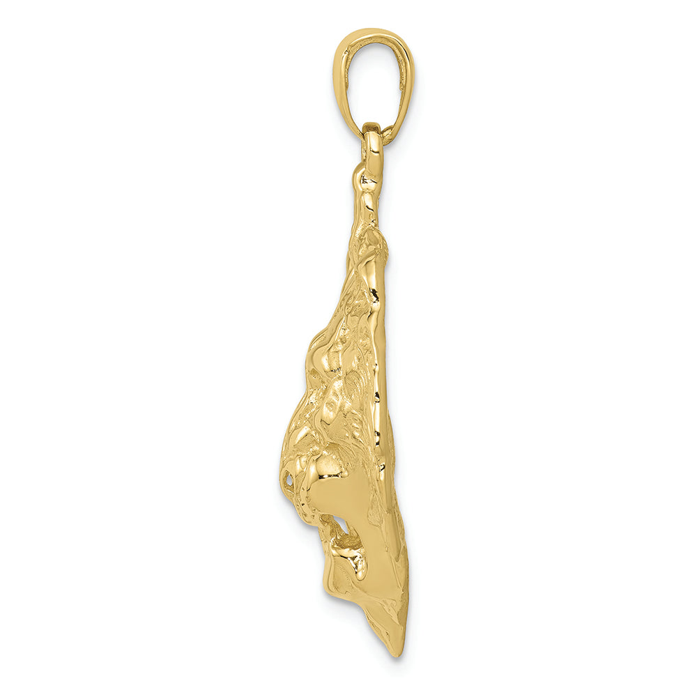 FJC Finejewelers 10k Yellow Gold Lion Charm