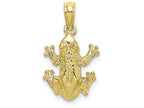 FJC Finejewelers 10k Yellow Gold Frogtop View Textured Charm