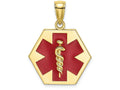 FJC Finejewelers 10k Yellow Gold Enameled Caduceus Medical Disc Engraveable Charm
