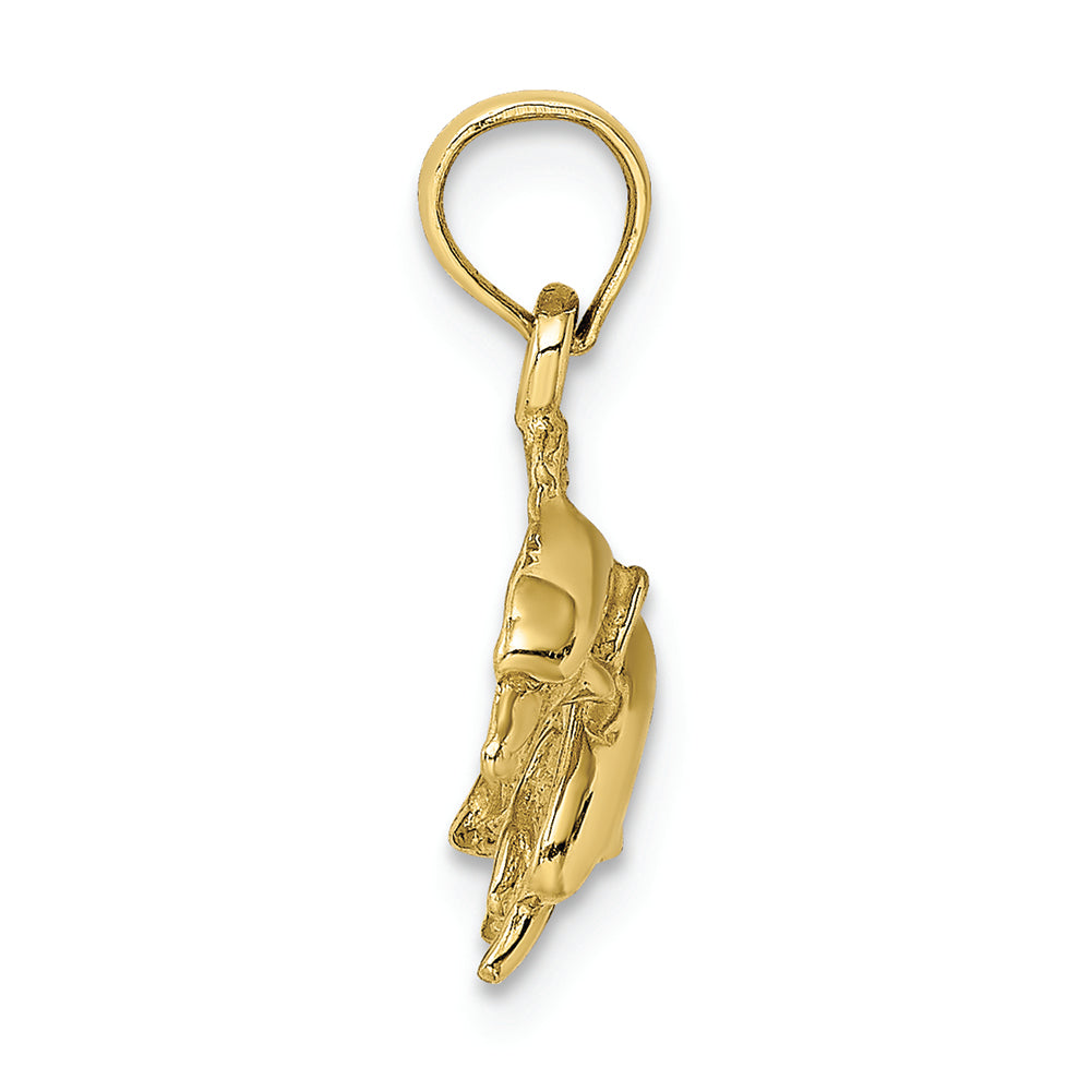 FJC Finejewelers 10k Yellow Gold Double Dolphins Jumping Left Polish Charm