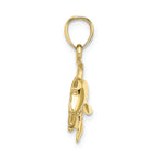 FJC Finejewelers 10k Yellow Gold Dolphin Jumping with Mouth Open Hp Textured Charm
