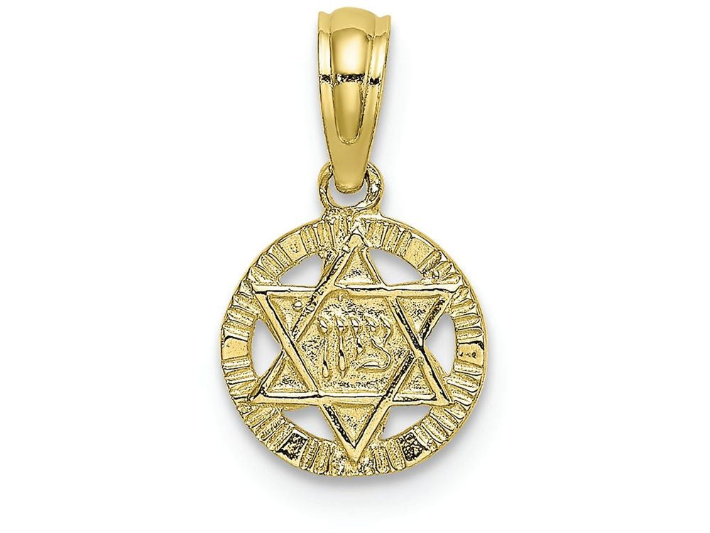 FJC Finejewelers 10k Yellow Gold Star Of David In Circle Engraved - Jewish Charm