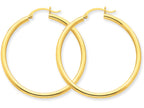 FJC Finejewelers 10k Polished 2.5mm Round Hoop Earrings