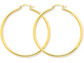 FJC Finejewelers 10k Polished 2.5mm Round Hoop Earrings