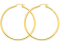 FJC Finejewelers 10k Polished 2.5mm Round Hoop Earrings