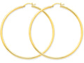 FJC Finejewelers 10k Polished 2.5mm Round Hoop Earrings