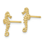 FJC Finejewelers 10k Yellow Gold Mini Seahorse Post Earrings