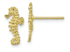FJC Finejewelers 10k Yellow Gold Mini Seahorse Post Earrings