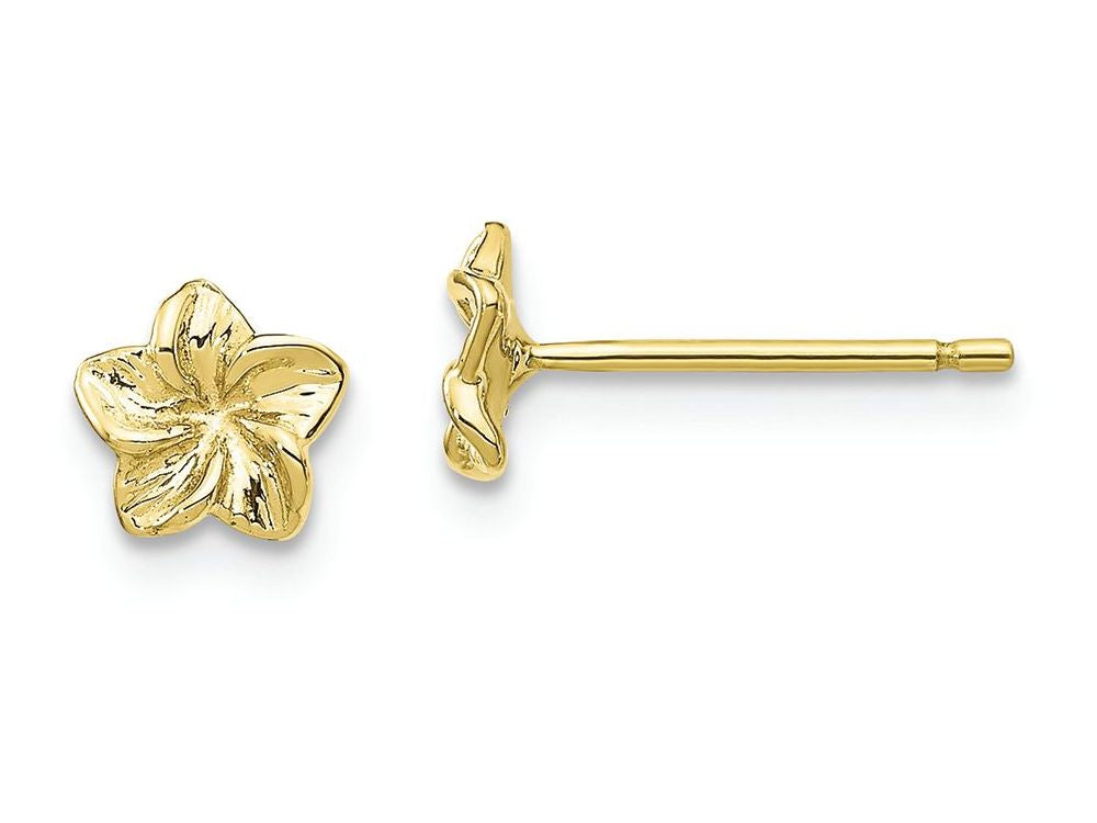 FJC Finejewelers 10k Yellow Gold Plumeria Flower Post Earrings