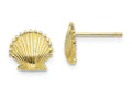 FJC Finejewelers 10k Yellow Gold Scallop Shell Post Earrings