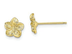 FJC Finejewelers 10k Yellow Gold Single Flower Post Earrings Plumeria