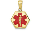 FJC Finejewelers 10k Yellow Gold Enameled Medical Disk Charm