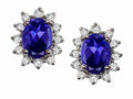 Tommaso Design™ Oval 8x6 mm Genuine Iolite Earrings