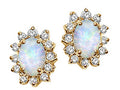 Tommaso Design™ Oval 7x5mm Genuine Opal Earrings