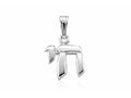FJC Finejewelers 925 Sterling Silver Small Chai Pendant Necklace on 12 Inch Chain