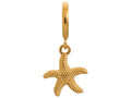 Endless Jewelry Starfish Gold-Tone Finish