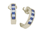 Karina B™ Sapphire Earrings