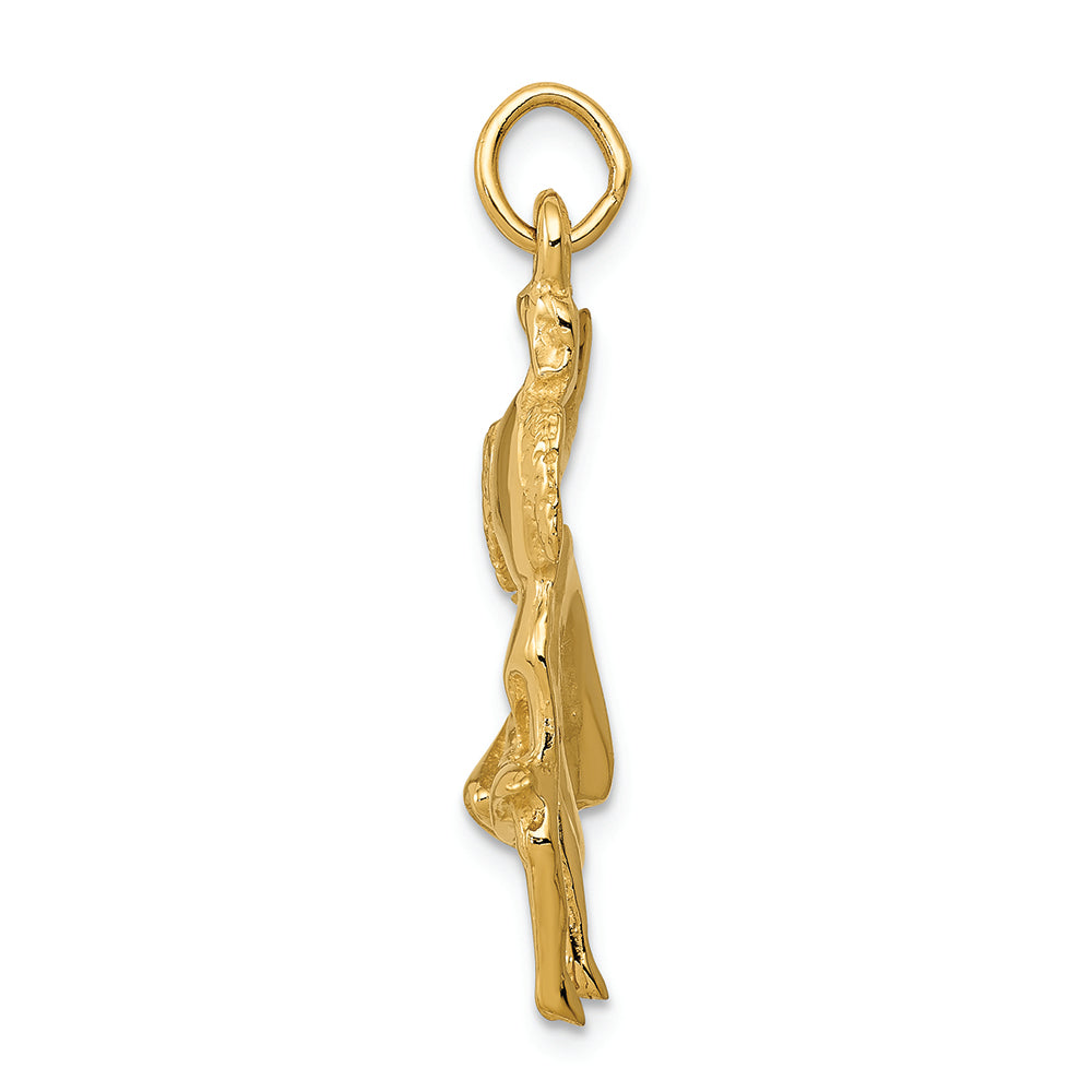 FJC Finejewelers 14k Yellow Gold Matador Charm