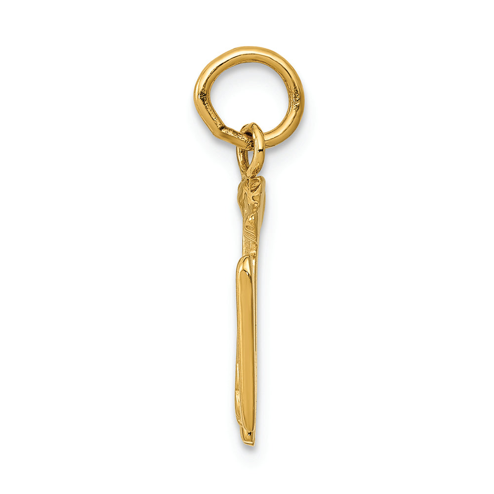 FJC Finejewelers 14k Yellow Gold Registered Nurse Charm