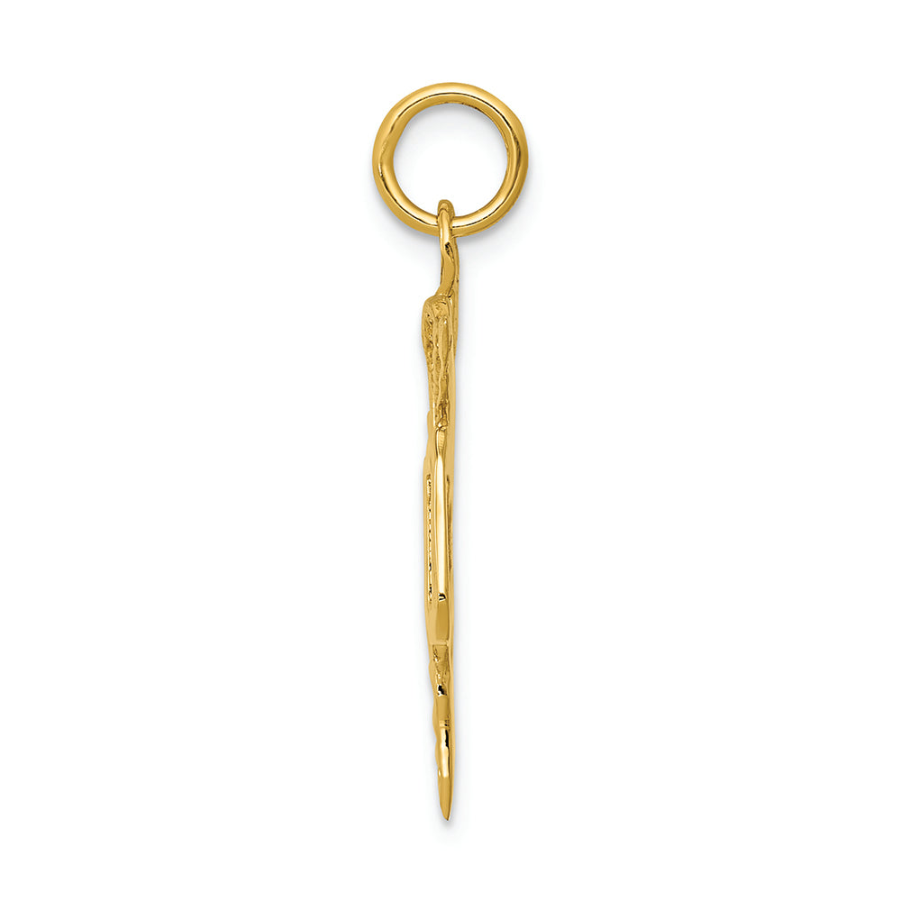 FJC Finejewelers 14k Yellow Gold Large M.d. Caduceus Charm