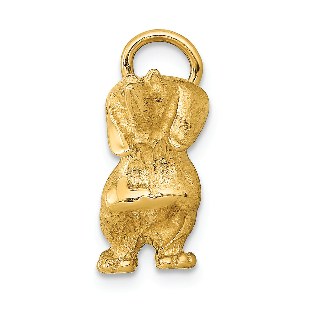 FJC Finejewelers 14k Yellow Gold Dachshund Dog Charm