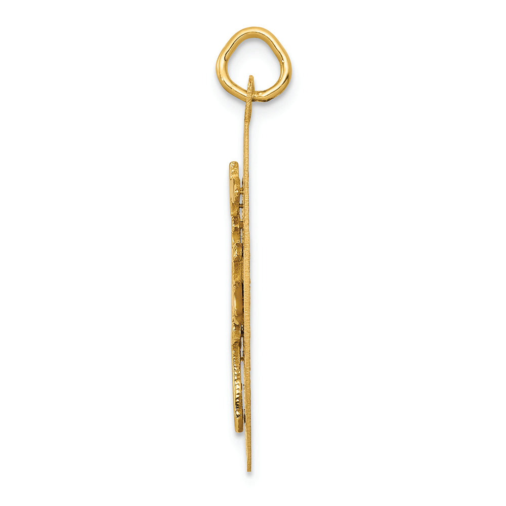 FJC Finejewelers 14k Yellow Gold Long Life Charm