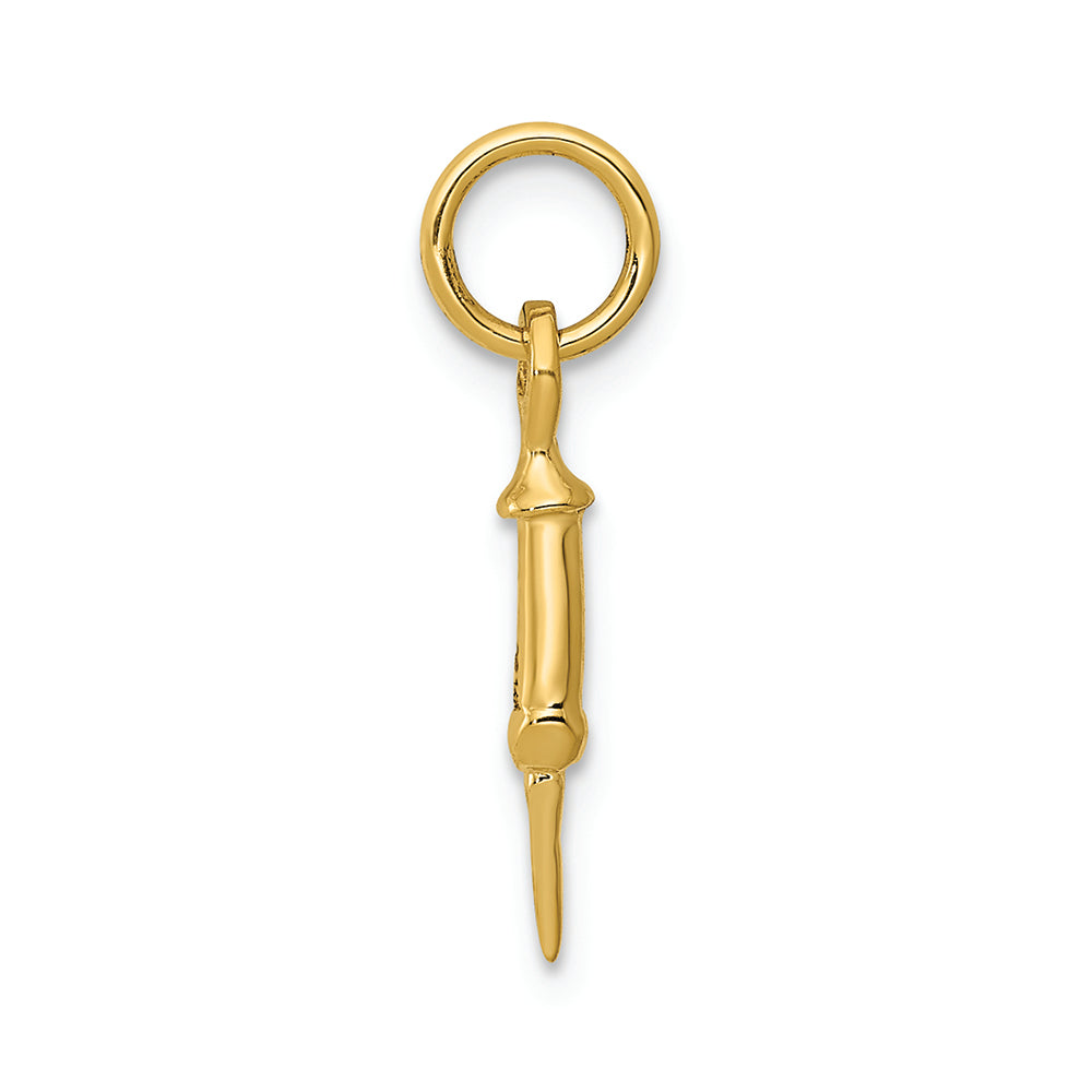 FJC Finejewelers 14k Yellow Gold Doctors Syringe Charm
