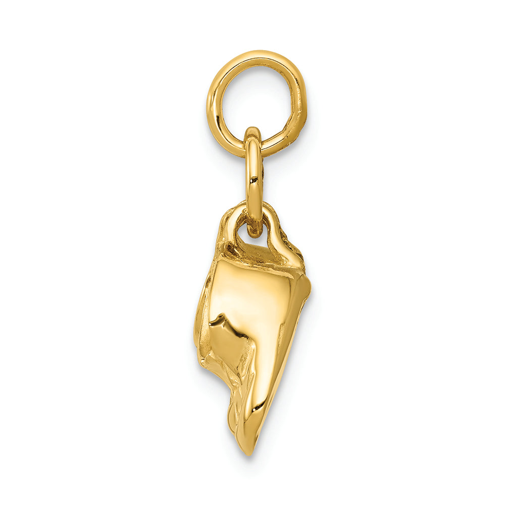 FJC Finejewelers 14k Yellow Gold Polished Baby Shoes Charm
