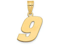 FJC Finejewelers 14k Yellow Gold Polished Block Number 9 Charm