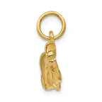 FJC Finejewelers 14k Yellow Gold Sports Car Charm